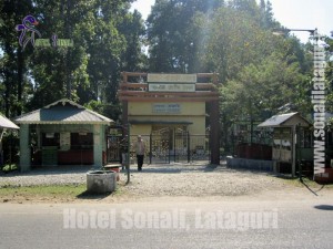 gorumara-wildlife-01