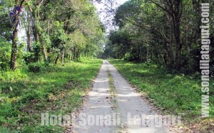 Travel Lataguri Dooars / Duars, places near Gorumara