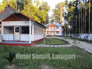 Lataguri Hotel Photos