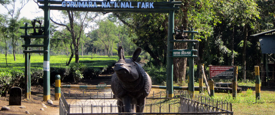 Gorumara National Park